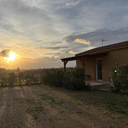 Maris Suite - Appartamento Con Vasca Idromassaggio Alghero Eksteriør bilde
